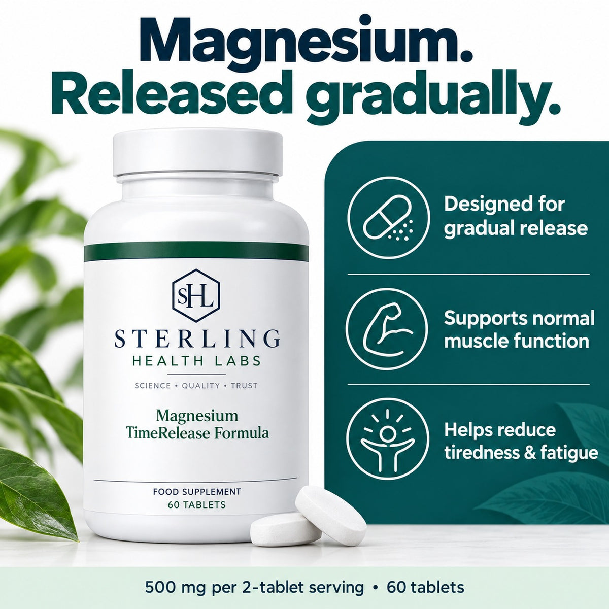 Magnesium designed for gradual release, with muscle and fatigue support